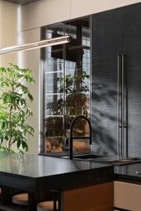 Modern residential kitchen featuring sleek black stone countertops and glass cabinetry.