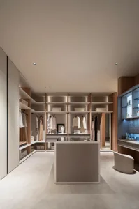 Modern minimalist closet featuring wood, glass, and metallic materials.