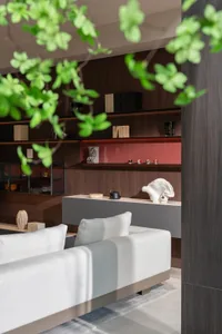 A modern living room featuring a white sofa placed against a dark wood wall, with greenery in the foreground and decorative i