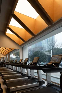 A row of sleek, modern treadmills lined up against a wall with large windows showcasing an urban skyline, featuring metallic 