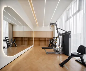 Modern, minimalist-style home gym with wooden flooring and steel equipment.