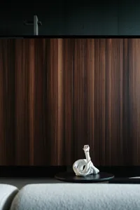 A modern interior space with dark wood paneling, a decorative white object on a black table, and a minimalist furniture arran
