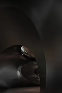 A curved, metallic architectural interior with dark, smooth surfaces