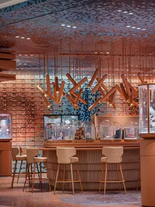 Modern bar interior with wood stools, concrete shelving, and glass dome displays.