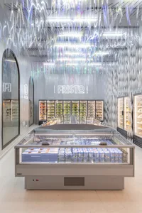 現代工業風格的雜貨店冷凍櫃，配有透明塑膠櫃門