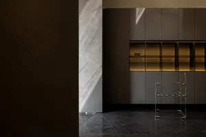Modern living room featuring glass-front cabinets.