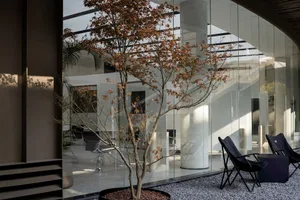 A modern office space with glass walls and a tree in a pot.