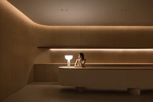A modern minimalist lounge with wooden walls and glass elements.