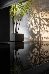 A minimalist interior design featuring a concrete planter with green leaves, casting shadows on a sleek, reflective surface.