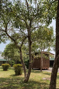 A view of a child care center nestled among trees and greenery, showcasing an outdoor play area and a wooden structure.