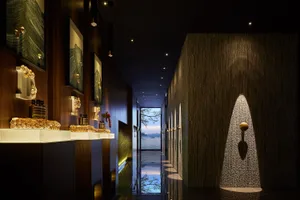 Modern interior design corridor featuring wooden paneling and lighting fixtures.