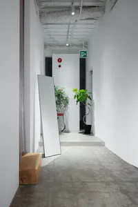 現代極簡走廊，混凝土地板、植物與極簡設計。