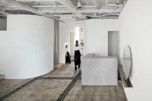 Modern, minimalist interior design featuring a concrete counter.