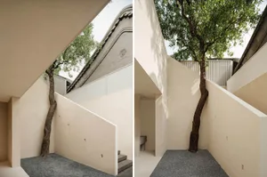 A modern interior space with a concrete wall and a tree, showcasing minimalist design.
