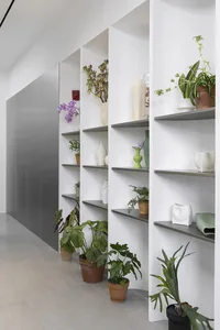 極簡植物展示，搭配混凝土層架與多種盆栽植物及花瓶。