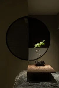 A minimalist interior featuring a green plant on a wooden table.