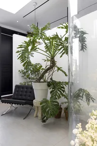 Modern, minimalist living room featuring green plants in various pots, a black leather chair, and wooden floor.