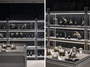 Various potted plants and figurines displayed on metal shelves against a dark background.