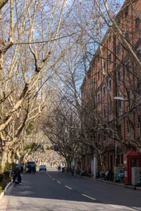 A street lined with brick and stone buildings.