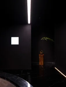 Modern minimalist bedroom with dark marble floor and walls, featuring a single plant in a wooden pot.