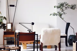 Modern minimalist living room featuring white sofa, wooden chairs, and green plant.