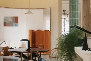 A minimalist residential interior featuring wooden furniture and a potted plant.