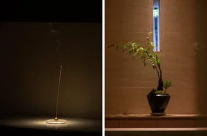 A plant in a ceramic pot sits on a wooden cabinet against a textured wall, with a small window allowing light to filter in.