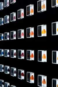 Modern art installation featuring glass sculptures with vibrant colors on a black background.