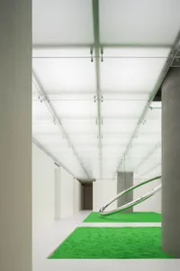 Modern empty white hallway with green rug and glass ceiling and floor.