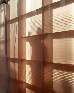 A photograph of sunlight filtering through sheer, metallic fabric curtains, casting intricate shadows and patterns on the wal