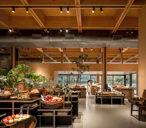 Modern retail store featuring sustainable materials and eco-friendly design