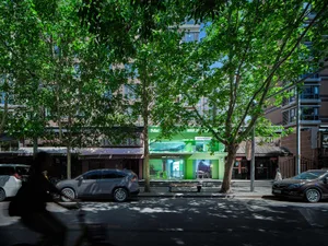 都市街道的攝影視角，行道樹沿著人行道排列，背景有建築物，街道旁停放著汽車