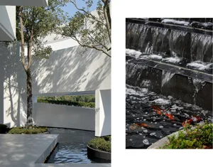 A modern water feature garden with a sleek, white wall, cascading water, and koi fish.