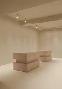 Minimalist art installation with wooden elements.