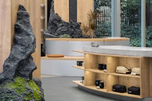 A modern commercial space featuring concrete and wood elements, with foliage accents and product shelves.
