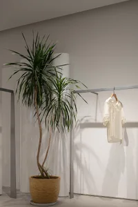 Modern clothing display with natural light and minimalist design.