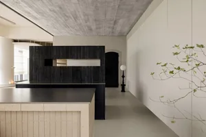 A modern interior space featuring concrete walls, wooden cabinets, and a stone countertop.