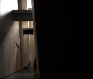 A minimalist interior with wood paneling and a person standing in a darkened space.
