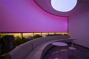 Contemporary interior featuring purple ambient lighting, a curved sofa, and indoor plants