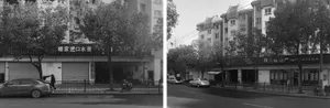 城市街景，混凝土道路兩側有樹木與建築物。