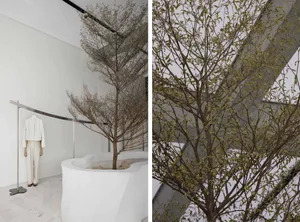 A minimalist retail space with concrete walls and white painted surfaces, featuring a tree in a white planter.