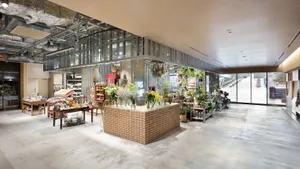 Modern plant shop with wood and concrete materials and various potted plants.