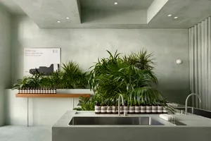 A minimalist interior space with concrete walls, a sink, and an arrangement of various plants on the countertop.