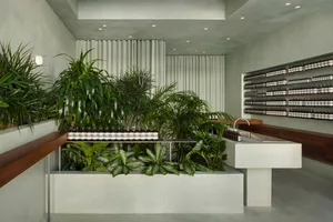 現代店面前有混凝土牆面，中央擺放充滿綠色植物的混凝土花槽。