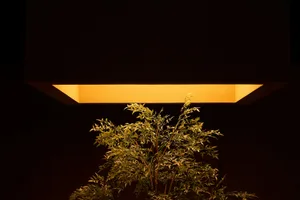 Modern decorative lighting fixture featuring a plant in a dark setting, showcasing elegant design and ambient lighting.