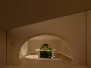 極簡接待區在白色桌面上擺放苔綠色中心裝飾。