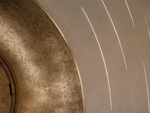 一個具有紋理表面的現代金屬建築特色。
