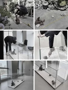 Person arranging a modern glass display with rocks in a room with plants and furniture.