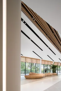 Modern office space with contemporary design elements and wooden furniture.