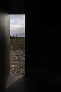 View of a landscape through a window